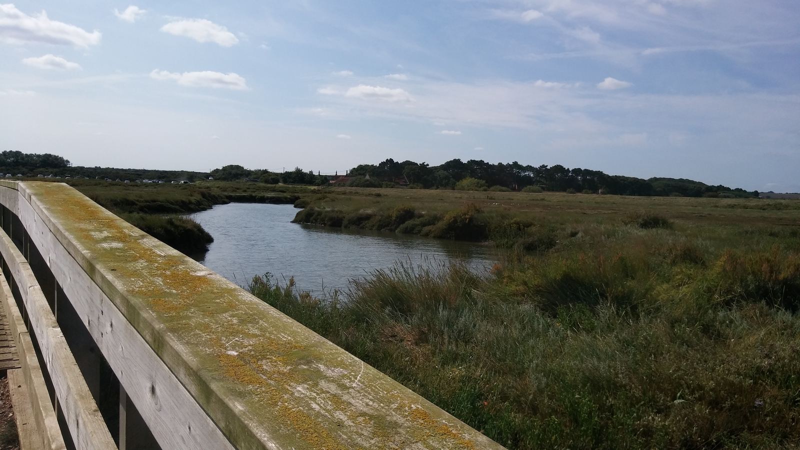 Broads boardwalk near Stalham