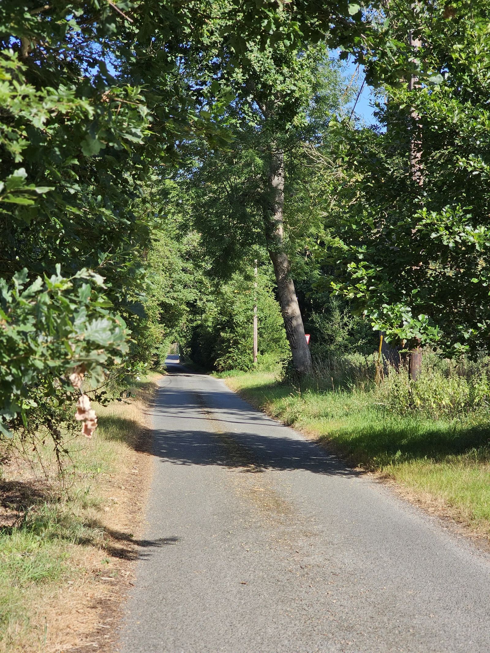 A Norfolk Quiet Lane