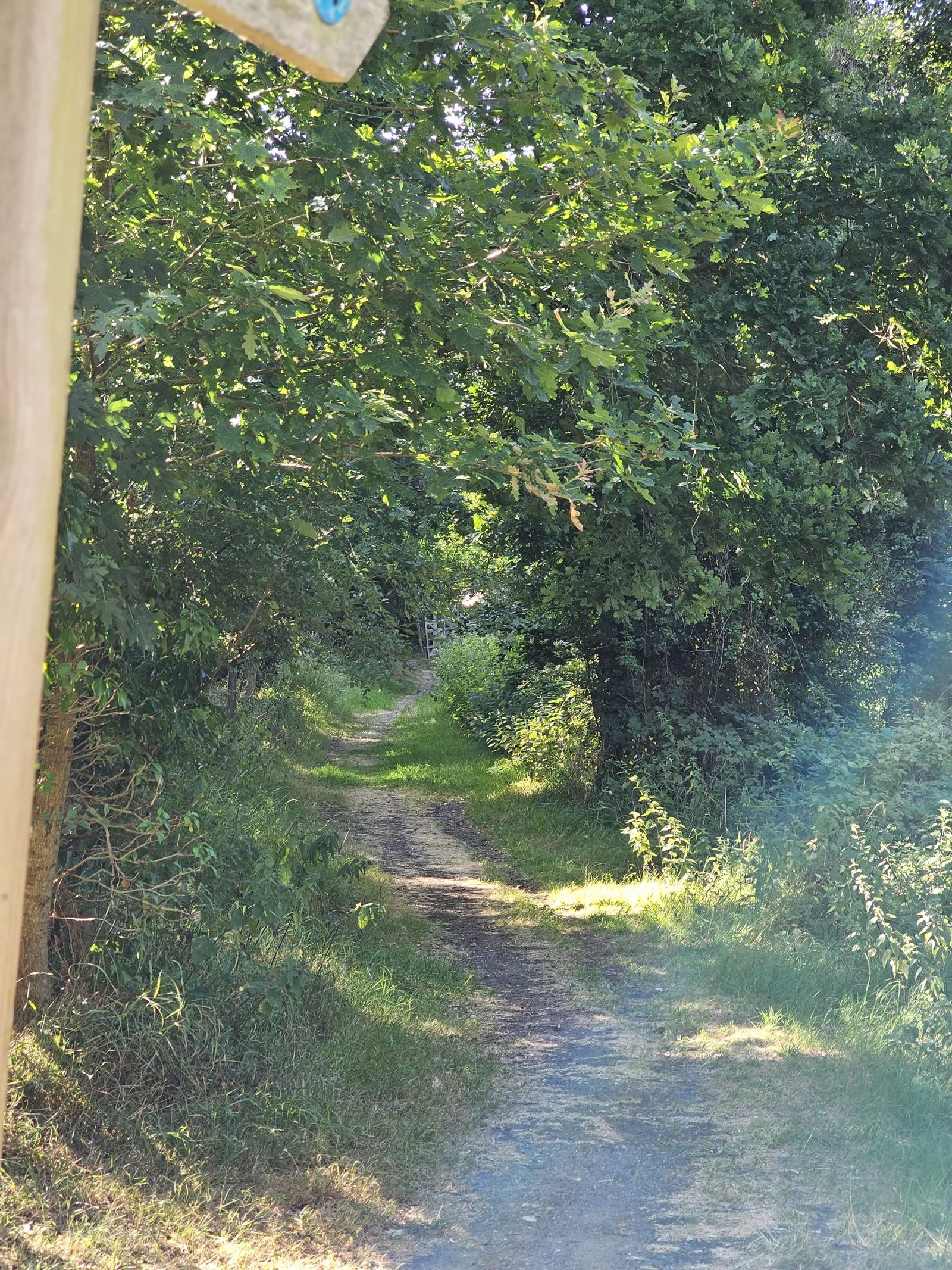 Path near Southrepps Common